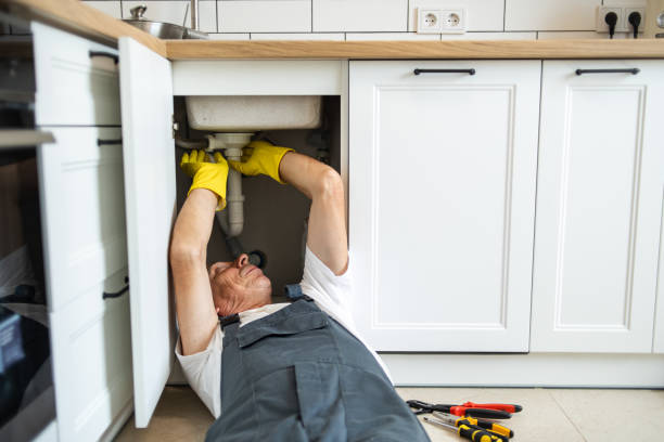 Best Plumbing Inspection Services  in Madison, MN