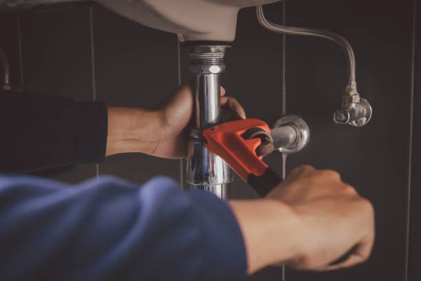 Best Leak Detection Services  in Madison, MN