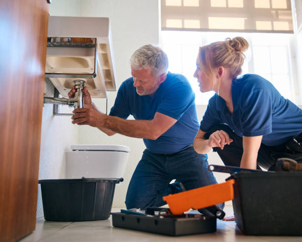 Best Affordable Plumbing Services  in Madison, MN